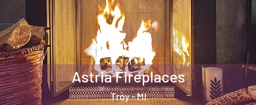 Astria Fireplaces Troy - MI