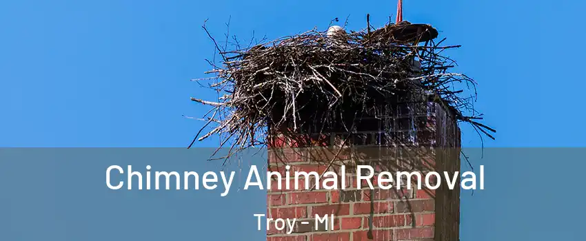  Chimney Animal Removal Troy - MI