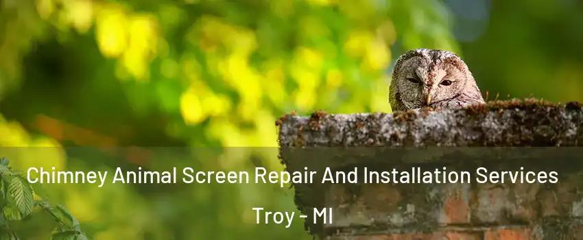  Chimney Animal Screen Repair And Installation Services Troy - MI