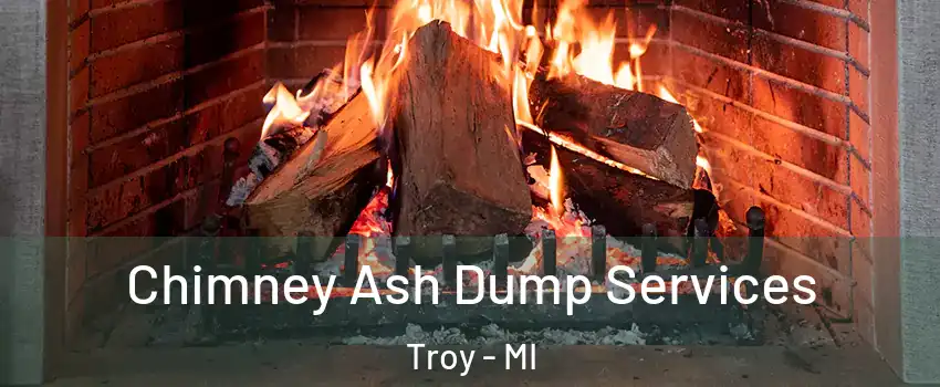  Chimney Ash Dump Services Troy - MI