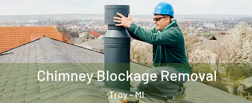  Chimney Blockage Removal Troy - MI