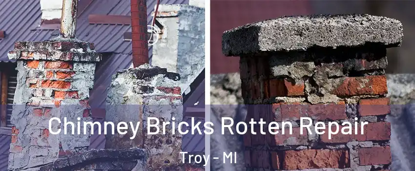  Chimney Bricks Rotten Repair Troy - MI