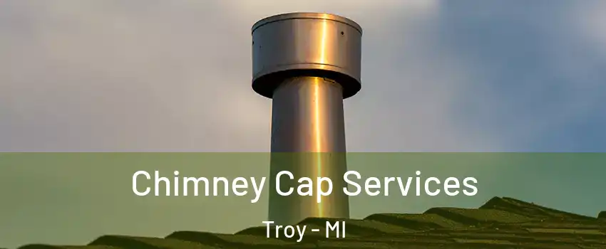  Chimney Cap Services Troy - MI
