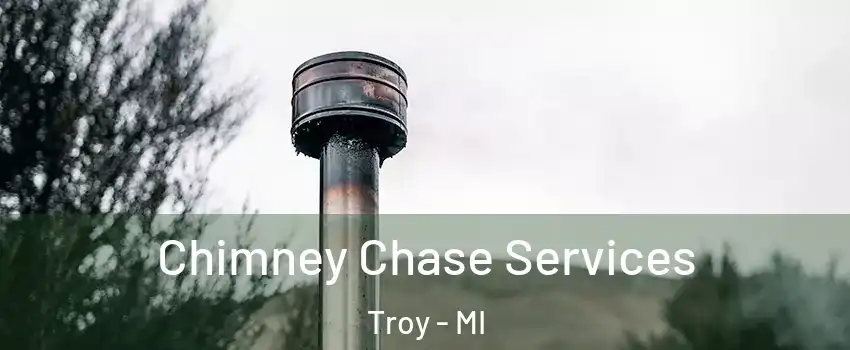  Chimney Chase Services Troy - MI