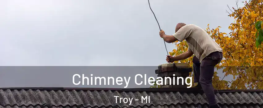  Chimney Cleaning Troy - MI