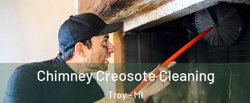  Chimney Creosote Cleaning Troy - MI