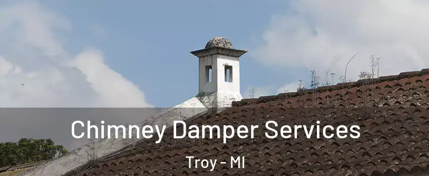  Chimney Damper Services Troy - MI