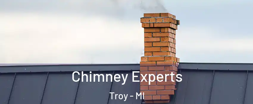 Chimney Experts Troy - MI