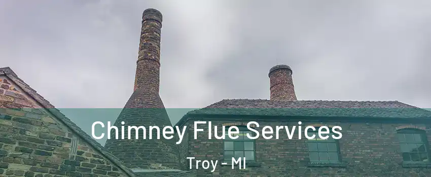  Chimney Flue Services Troy - MI