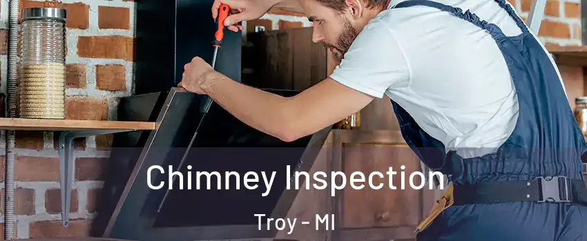  Chimney Inspection Troy - MI