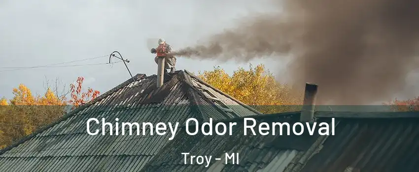  Chimney Odor Removal Troy - MI