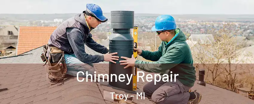  Chimney Repair Troy - MI