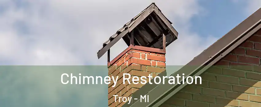  Chimney Restoration Troy - MI