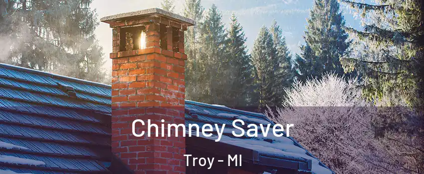  Chimney Saver Troy - MI