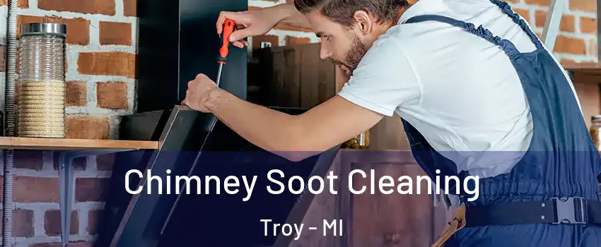  Chimney Soot Cleaning Troy - MI