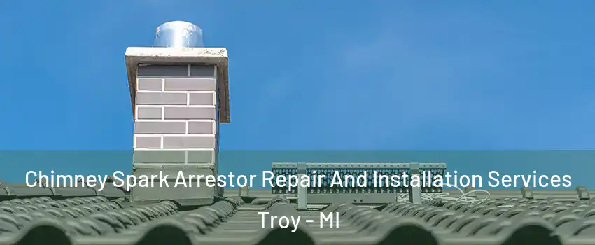  Chimney Spark Arrestor Repair And Installation Services Troy - MI