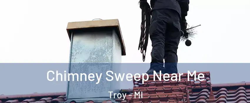  Chimney Sweep Near Me Troy - MI