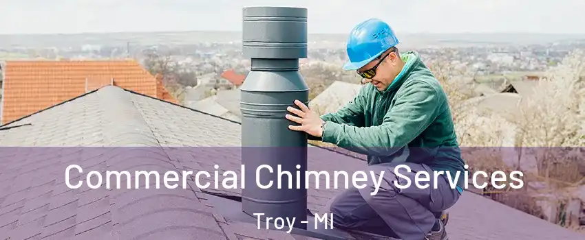  Commercial Chimney Services Troy - MI