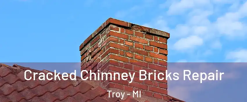  Cracked Chimney Bricks Repair Troy - MI