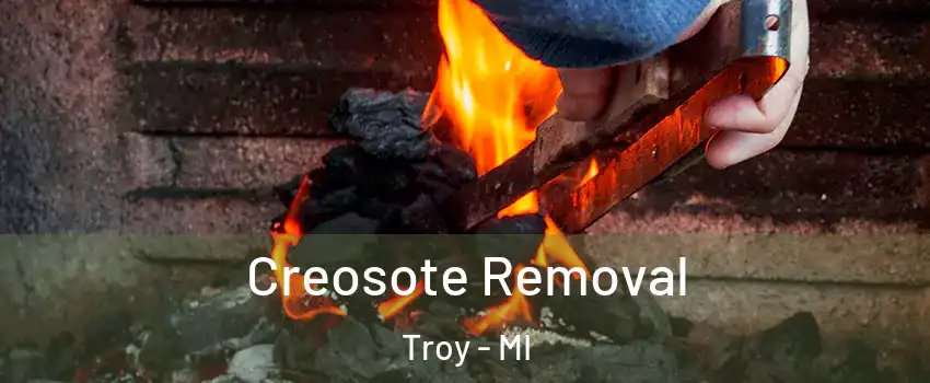  Creosote Removal Troy - MI