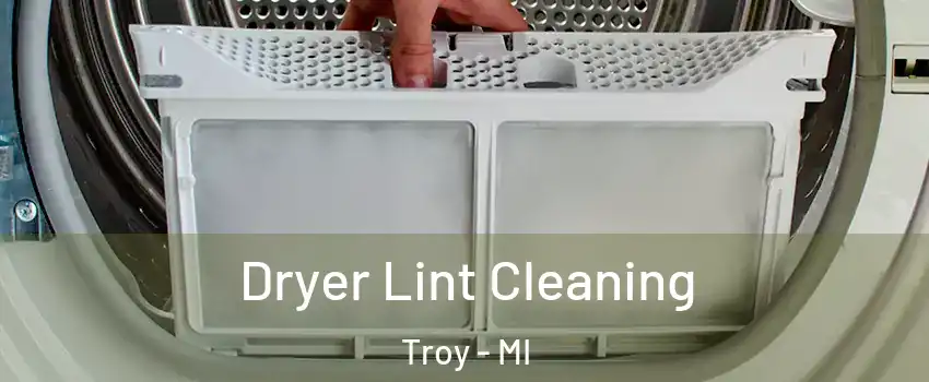  Dryer Lint Cleaning Troy - MI