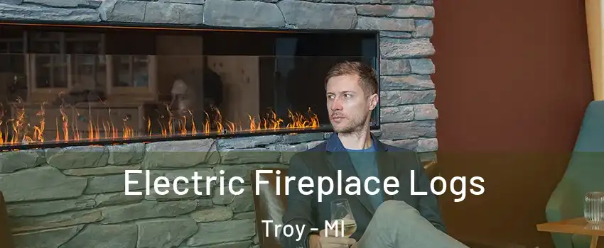  Electric Fireplace Logs Troy - MI