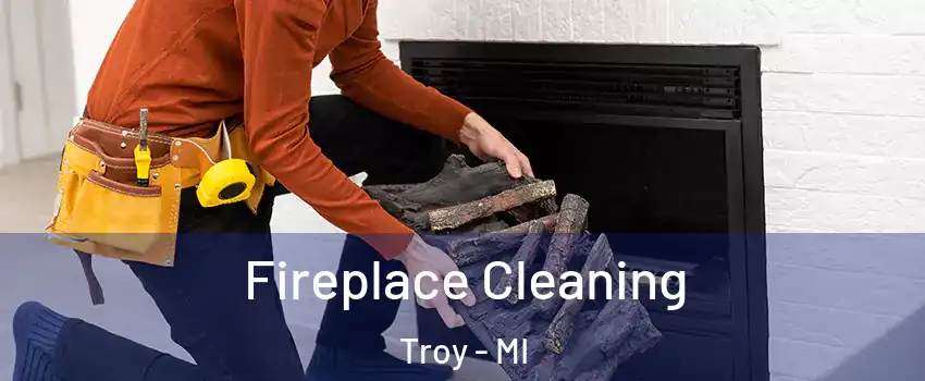  Fireplace Cleaning Troy - MI