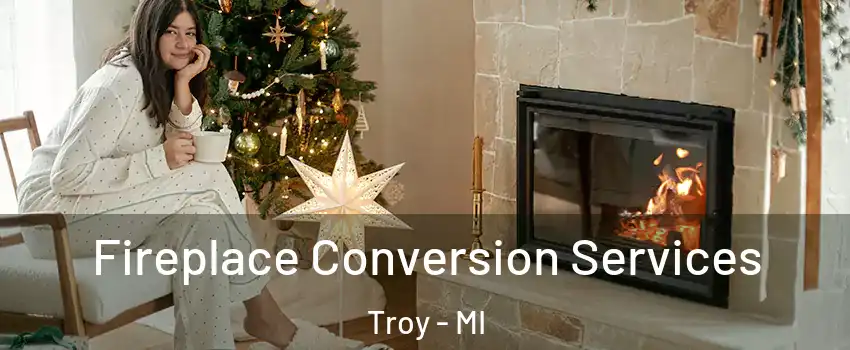  Fireplace Conversion Services Troy - MI