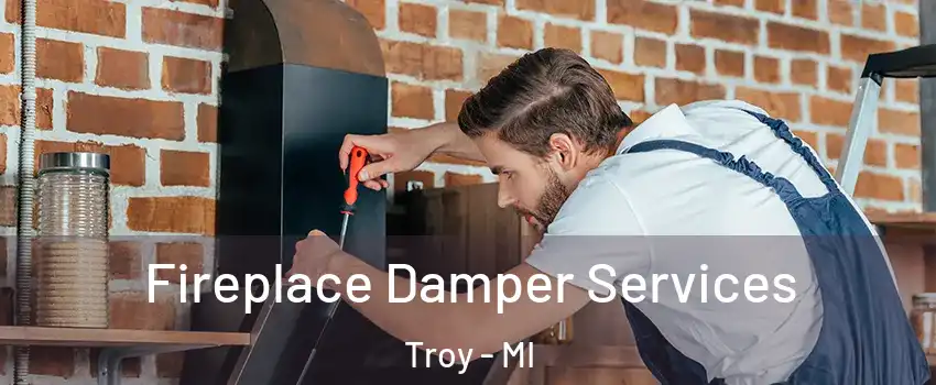  Fireplace Damper Services Troy - MI