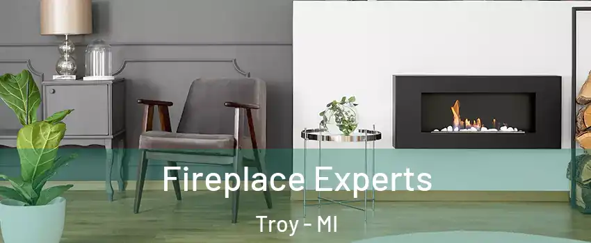  Fireplace Experts Troy - MI