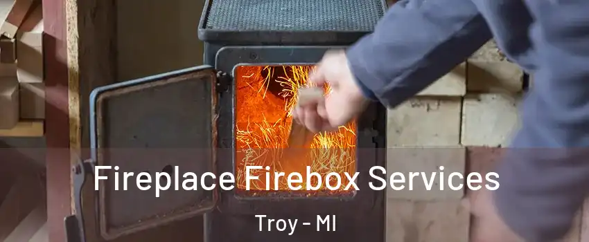  Fireplace Firebox Services Troy - MI
