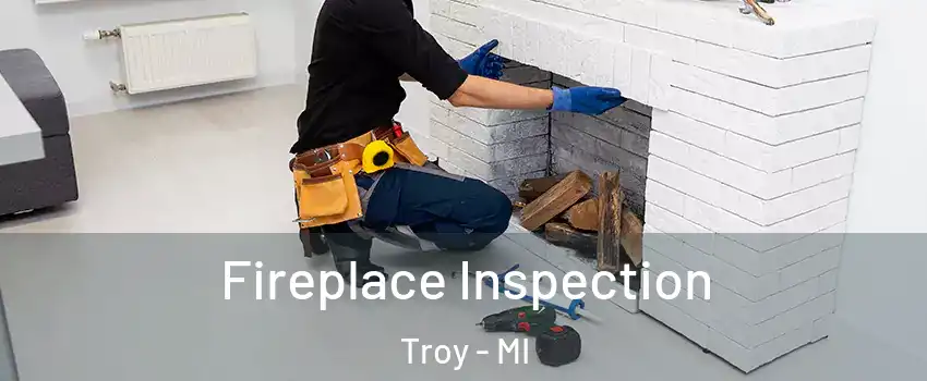  Fireplace Inspection Troy - MI
