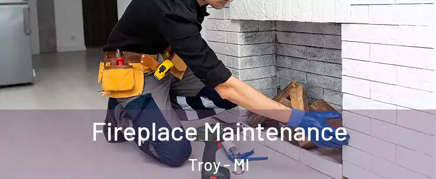  Fireplace Maintenance Troy - MI