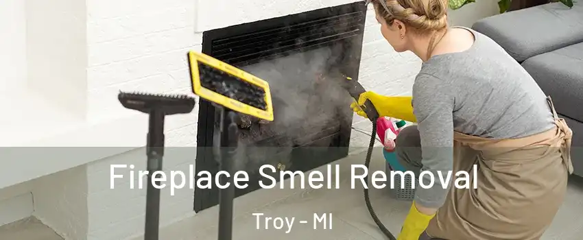  Fireplace Smell Removal Troy - MI