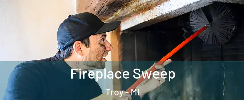  Fireplace Sweep Troy - MI