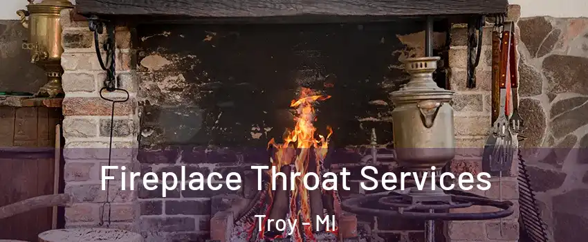  Fireplace Throat Services Troy - MI