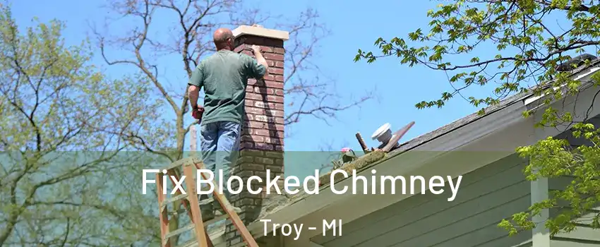  Fix Blocked Chimney Troy - MI