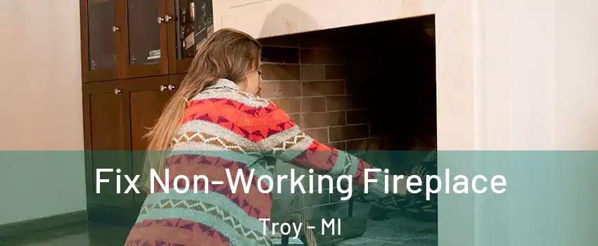  Fix Non-Working Fireplace Troy - MI