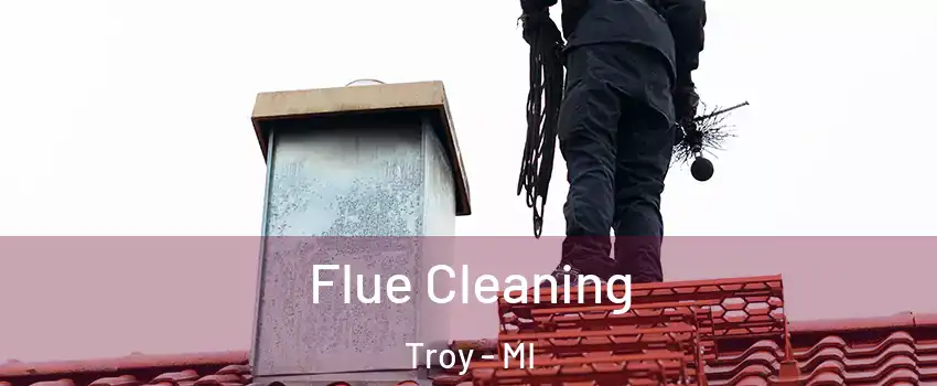  Flue Cleaning Troy - MI