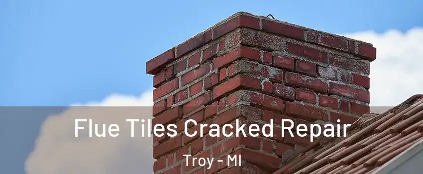  Flue Tiles Cracked Repair Troy - MI