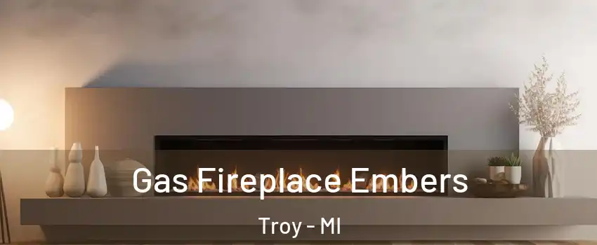  Gas Fireplace Embers Troy - MI
