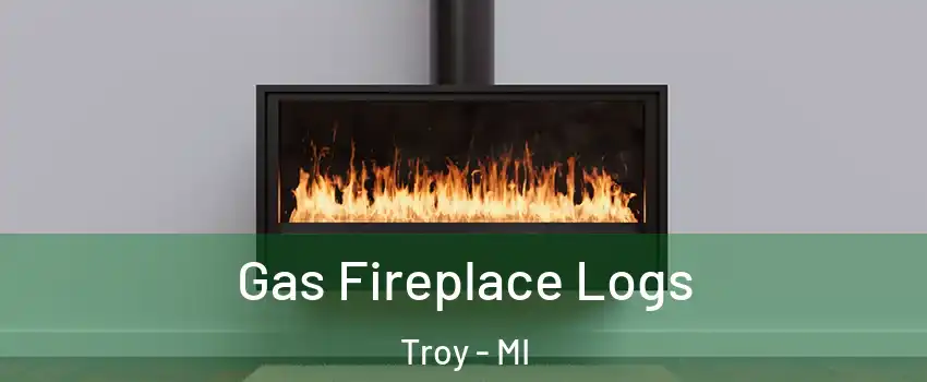  Gas Fireplace Logs Troy - MI