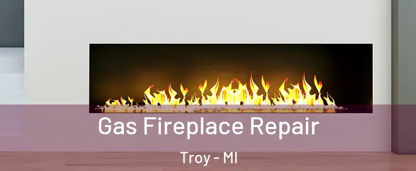  Gas Fireplace Repair Troy - MI