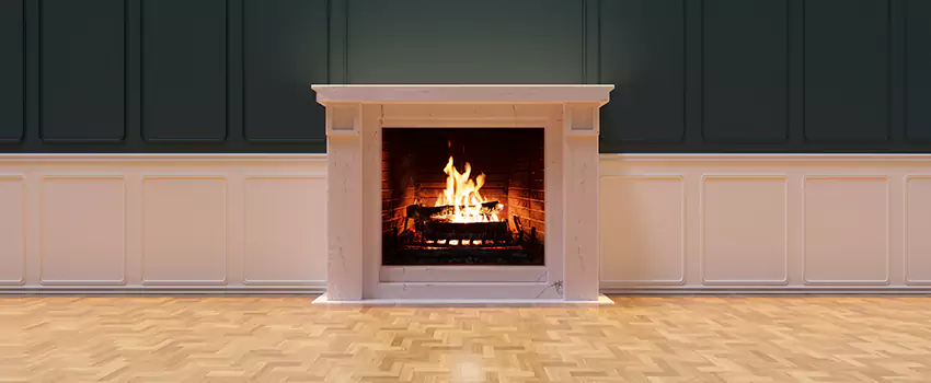 Napoleon Electric Fireplaces Inspection Service in Troy, Michigan