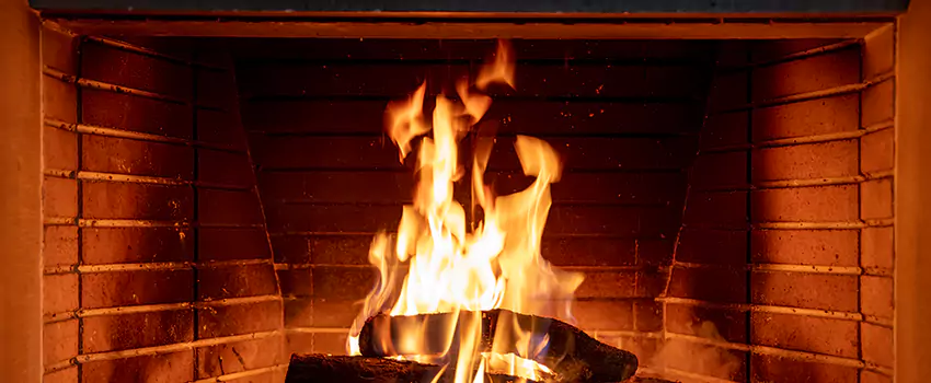 Soot Cleanup Services in Troy, MI
