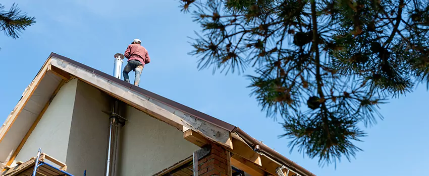 Birds Removal Contractors from Chimney in Troy, MI
