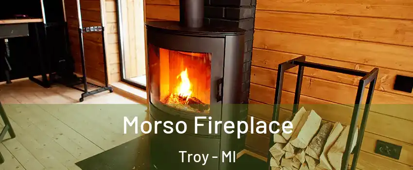  Morso Fireplace Troy - MI