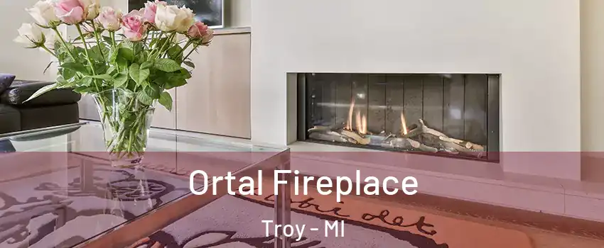 Ortal Fireplace Troy - MI