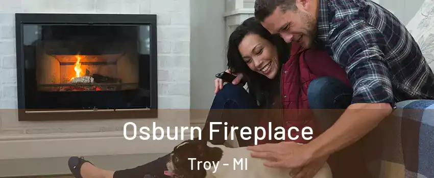  Osburn Fireplace Troy - MI