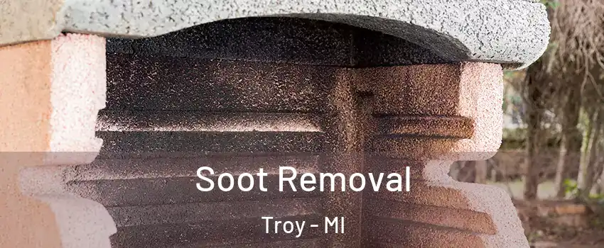  Soot Removal Troy - MI